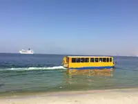 AMPHIBIOUS WATERBUS for sale