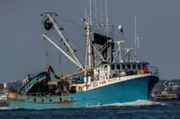 101 FT HERRING PURSE SEINER
