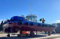 NB MULTICAT WORKBOAT for sale