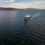 1973 Carrington Slipways Southern Star