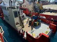 2012 Multicat For Sale