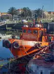 1981 Tug - Twin Screw For Sale