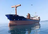 110.03m Cargo Vessel For Sale