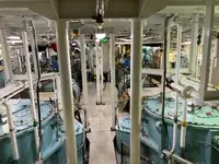 55 TBP Voith Schneider Tug for Sale