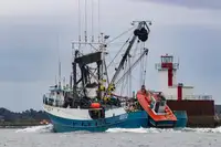 101 FT HERRING PURSE SEINER