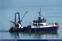 FRESH FISH STERN TRAWLER